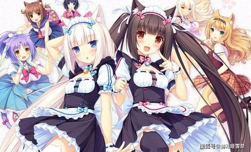 兩款藏品級(jí)的galgame,沒玩過還敢說自己是二次元